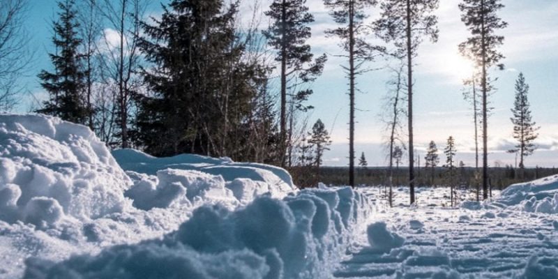 Landschaft-in-Lappland-im-Winter