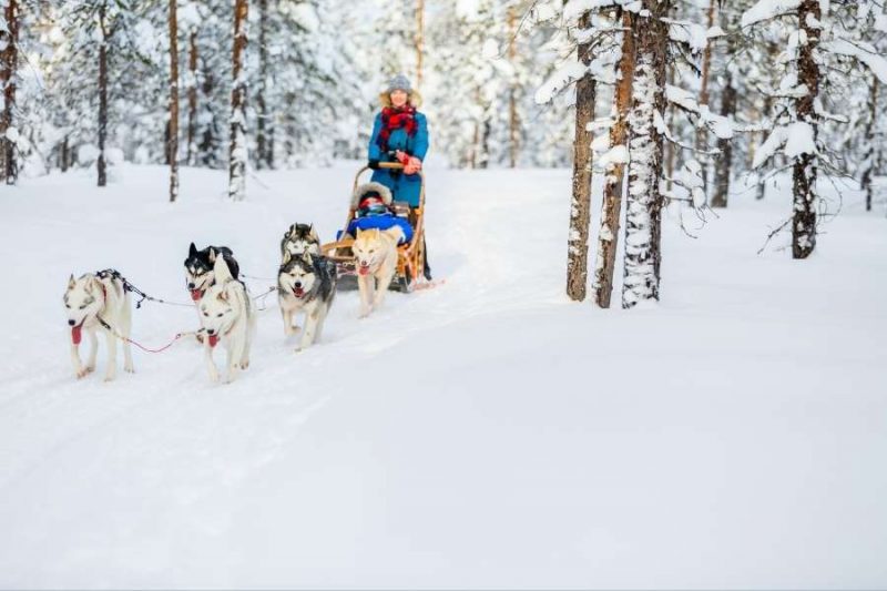 Huskytour in Lappland im Winter Reisen mit Nordic