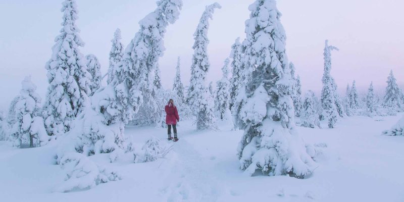 Landschaft mit dicken Schichten Schnee in Schwedisch Lappland