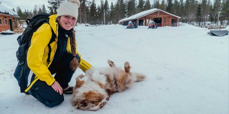 Frau streichelt Husky im Schnee in Lappland