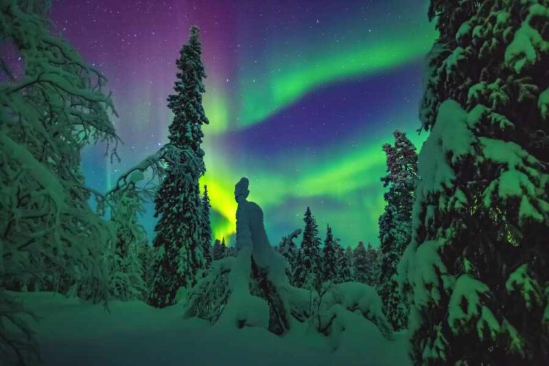 Nordlichter-in-Lappland-Reisen-mit-Nordic-der-Skandinavien-Spezialist