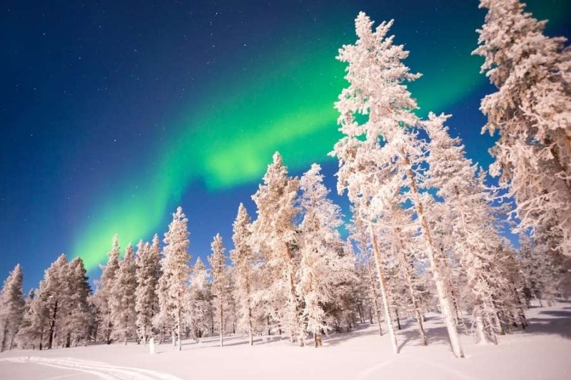 Polarlichter über den verschneiten Baumwipfeln in Finnisch Lappland