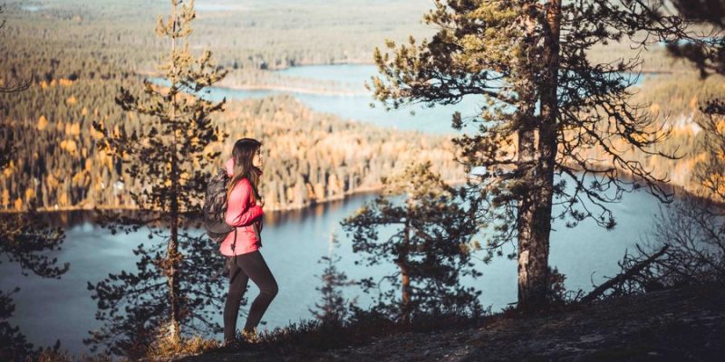 Wandern in Oulanka Nationalpark in Finnland