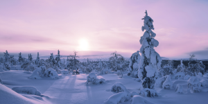 Lappland-im-Winter-mit-Nordic-Deutschland-header
