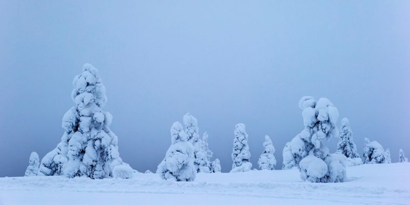 Schweden Lappland Reisen mit Nordic