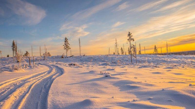 Tolle Aussicht während Husky Tour in Schwedisch Lappland