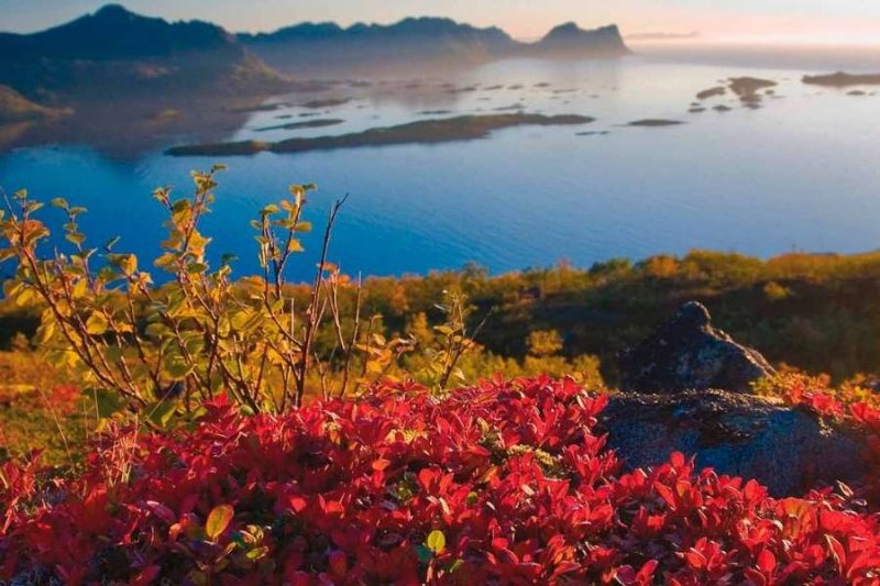 Herbstfarben auf den Lofoten mit Nordic ©Nordnorge