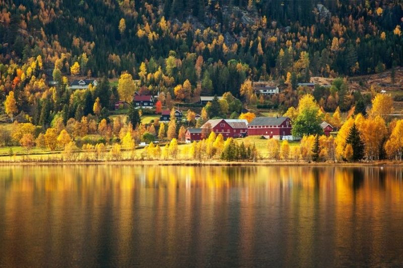 Herbst in Norwegen Entdecken Sie die atemberaubenden Herbstfarben der norwegischen Landschaft mit Nordic