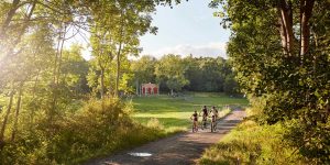 Schweden-im-Sommer-Fahrrad-fahren-mit-der-Familie-und-Nordic