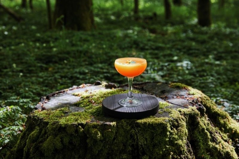 ©VisitSweden-Drinkable-Country-Cocktailbar-in-der-schwedischen-Natur