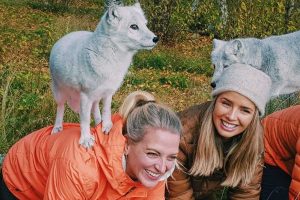 Polarfuechse-im-Langedrag-Naturpark-in-Norwegen