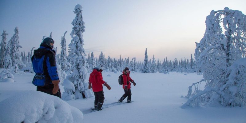 Schneeschuhwanderung-in-Lappland