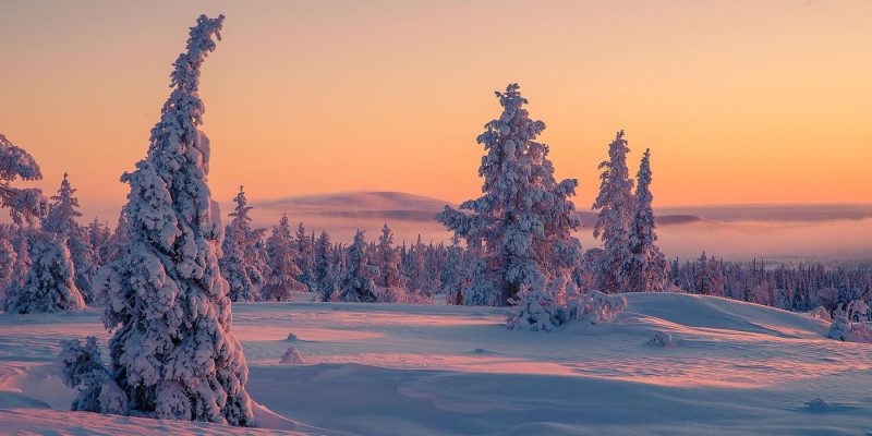 Landschaft-rund-um-Harriniva-in-Finnisch-Lappland-mit-Nordic-dem-Skandinavien-Spezialisten