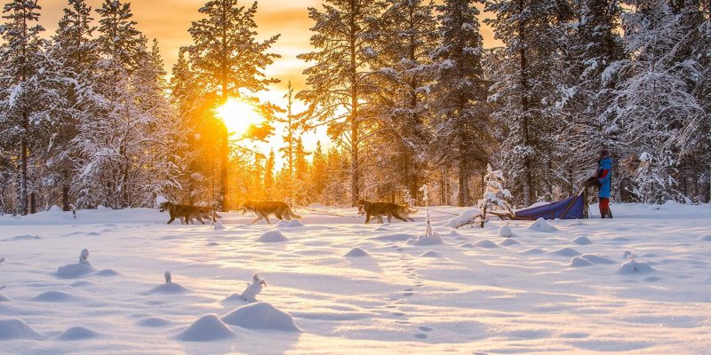 Mehrtaegige-Ausfluege-in-Lappland-mit-Nordic