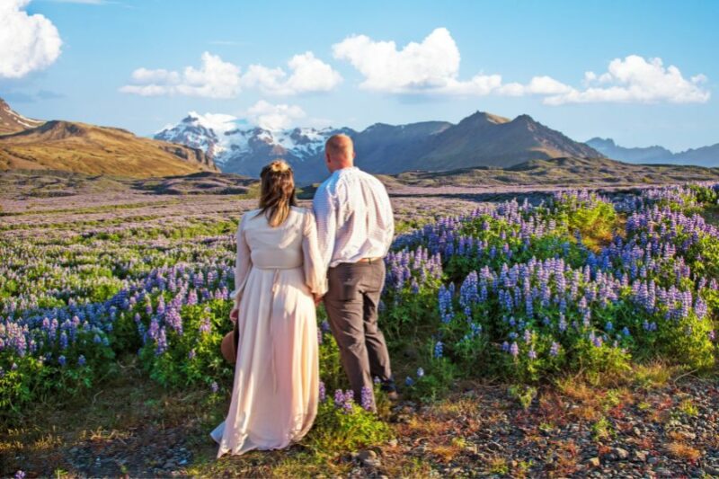 Ein-Paar-steht-mit-dem-Ruecken-zur-Kamera-und-blickt-auf-ein-Feld-voll-mit-Lupinen-Urlaub-in-Islan-mit-Nordic-Skandinavien-Spezialist