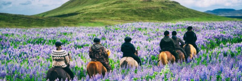 Island-Reisen-mit-Kindern-in-den-Schulferien-mit-Nordic-Skandinavien-Spezialist