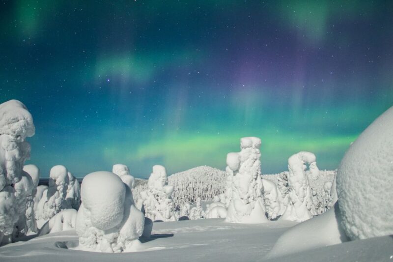 Nordlichter-in-Ruka-in-Finnisch-Lappland-Ruka-Kuusamo-Reisen-mit-Nordic-der-Skandinavien-Spezialist