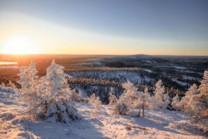 Winterlandschaft-in-Ruka-Kuusamo_in-Finnisch-Lappland-Reisen-mit-Nordic-der-Skandinavien-Spezialist_Juhannuskallio_mikkosantasalo