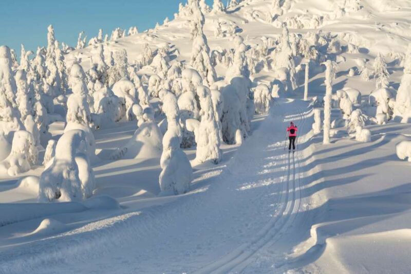 Alleine-Skifahren-in-Lappland-mit-Nordic-der-Skandinavien-Spezialist