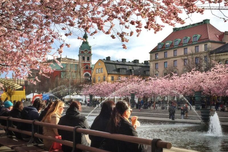 Stockholm-Stadtpark-Nach-Schweden-reisen-mit-Nordic-der-Skandinavien-Spezialist
