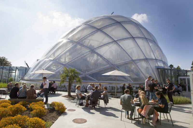 Botanische-Gaerten-in-Arhus-Reisen-nach-Daenemark-mit-Nordic-der-Skandinavien-Spezialist-©Jens-Thaysen-Aarhus-Stiftstidende