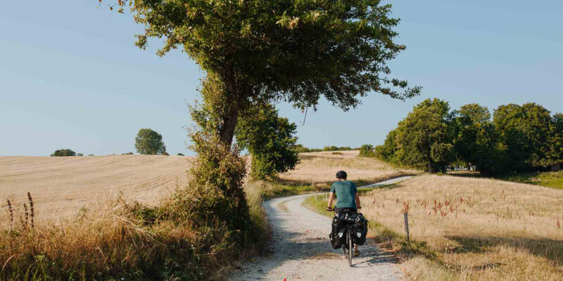 Fahrradfahren-in-der-Natur-in-Daenemark-Reisen-nach-Daenemark-mit-Nordic-der-Skandinavien-Spezialist