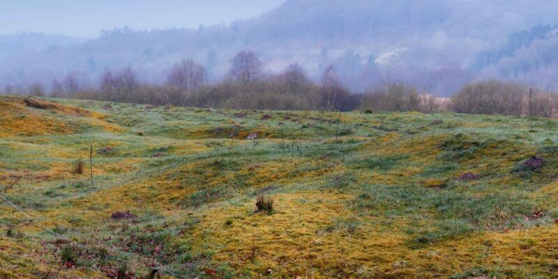 Rebild-Nationalpark-Reisen-nach-Daenemark-mit-Nordic-der-Skandinavien-Spezialist