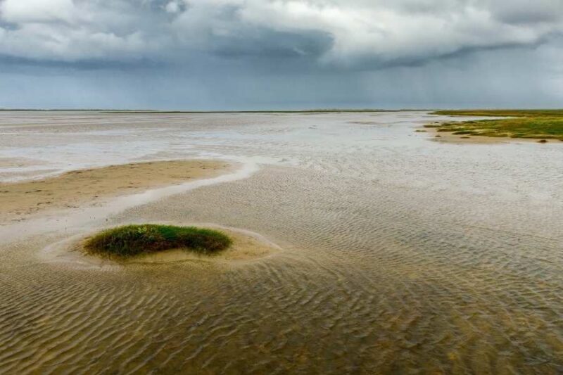 Wattenmeer-National-Park-Reisen-nach-Daenemark-mit-Nordic-der-Skandinavien-Spezialist