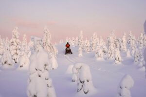 Schneemobil-fahren-in-Lappland-mit-pinkem-Kaamos-Licht-im-Hintergrund-in-Lappland-Reisen-mit-Nordic-der-Skandinavien-Spezialist