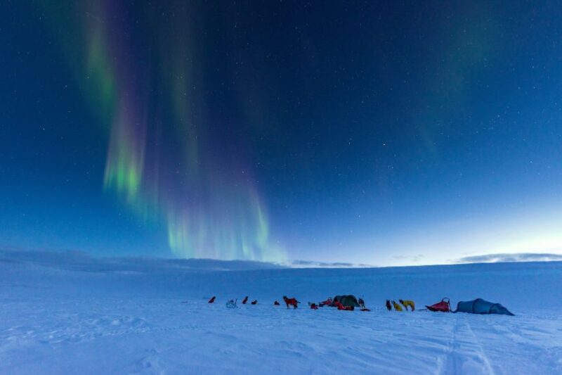 Husky-Tour-unter-den-Nordlichter-im-Winter-in-Lappland-Reisen-mit-Nordic-der-Skandinavien-Spezialist