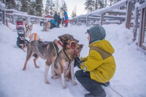 Mit-Husky-kuscheln-waehrend-Hundeschlittentour-im-Winter-in-Lappland-Reisen-mit-Nordic-der-Skandinavien-Spezialist