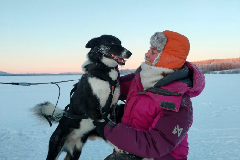 Nordic-Kollegin-mit-Husky-im-Winter-in-Lappland-Reisen-mit-Nordic-der-Skandinavien-Spezialist