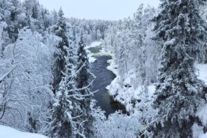 Schneeschuhwanderung-in-Ruka-Lappland-Reisen-mit-Nordic-der-Skandinavien-Spezialist